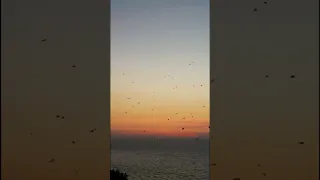 شمس الأصيل أم كلثوم Merci De Vous Abonner Et De Partager ليصلك المزيد اشترك وشارك من فضلك 