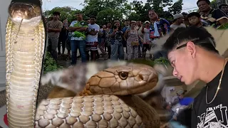 NAHULI NA NI COBRA PRINCE ANG KILABOT NG BUONG BARYO NANG HAHARANG SA DAAN NG MGA SASAKYAN