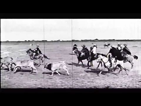 SÉPTIMO PARALELO - PELICULA