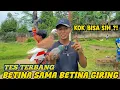 Lagu KOK BISA BETINA SAMA BETINA GIRING KITA COBA TERBANGIN DI LAPAK