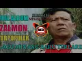 LAGU MINANG RATOK PADI AMPO ZALMON FULL ALBUM