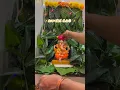 Download Lagu Ganesh pooja at home✨🙏🏻 #ganeshchaturthi #pooja #vinayakachavithi #bappamorya #family time