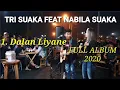 Download Lagu Tri Suaka Feat Nabila Suaka Dalan Liyane || Lagu Ambyar