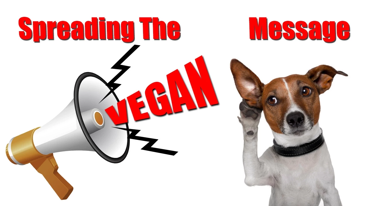 What is your Favorite way to Spread Veganism?