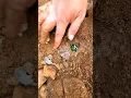 Download Lagu Full video on homepage#gems  #agate#crystal#gold#Gems#diamonds#gold mines#emeralds #pearl