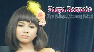 Download KASIH SAYANG - TASYA DUET MESRA GERRY NEW PALLAPA KURNIA TRANS 2017 MP3