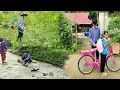 Download Lagu The orphan boy used a lawn mower to cut all the weeds around the house.