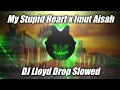 Download Lagu Dj My Stupid Heart x Imut Aisah Slowed (Dj Lloyd Drop Remix 2023)