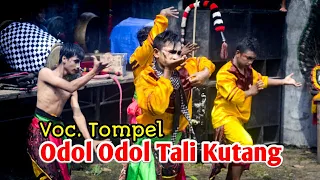 Download Lagu Jaranan Odol Odol Tali Kutang | Voc. Tompel | Putro Pandowo | Saxena Audio MP3