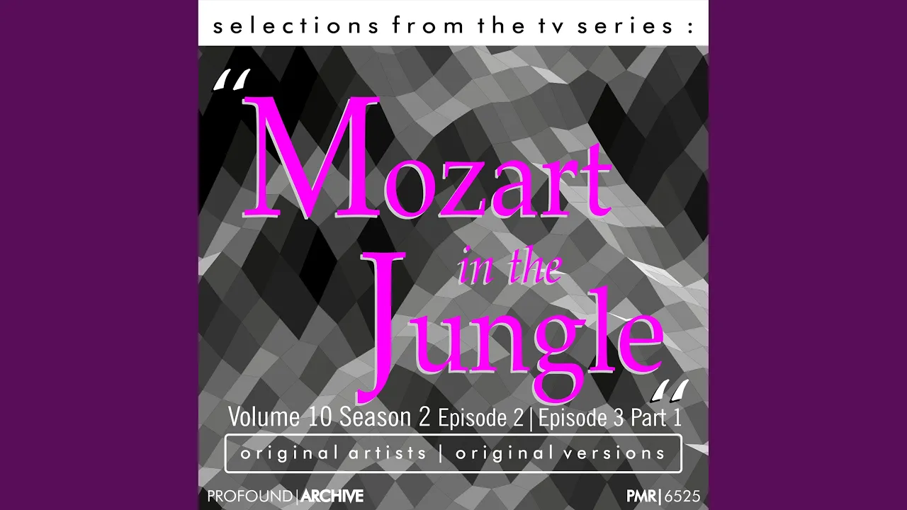 Symphony No. 9 in D minor, Op. 125 'Choral': I. Allegro ma non troppo e un poco maestoso Symphony No. 9 in D minor, Op. 125 'Choral': I. Allegro ma non troppo e un poco maestoso