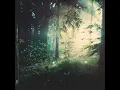Far Behind (feat. Panama) - Nils Hoffmann