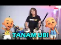 Download Lagu TANAM TANAM UBI - KOPLO