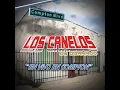 El Viejito (En Vivo Con Tololoche)
