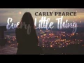 Carly Pearce - Every Little Thing (Lyrics)