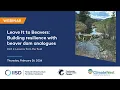 Leave It to Beavers Building resilience with beaver dam analogues Part 1