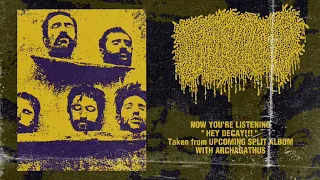WATCHPEOPLEDIE - HEY DECAY