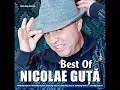 Lagu Nicolae Guta - Si tin la tine
