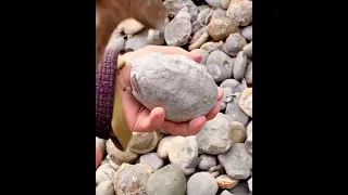 دور علي الاحافير داخل الصخور المتحولة جيولوجيا 