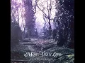 Do You Remember - More Than Life