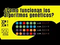 La Tecnica Que Optimiza Cualquier Problema Algoritmos Geneticos En Python