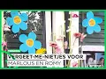Buurtbewoner Quen knutselt vergeet-me-nietjes voor omgekomen Marlous (39) en Romy (14) | TRENDING