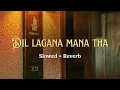 Lagu Dil Lagana Mana Tha (Slowed + Reverb) | Krish | RAAG DROPZ | Romantic Hindi Song 2026