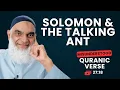 Download Lagu The Talking Ant | Quran 27:18 | Misunderstood Quranic Verses | Dr. Shabir Ally