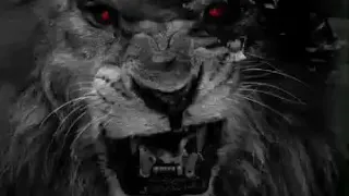 دبكات الفنان محمد الشيخ لحد يغلط معانا احنا شله سكرانة 