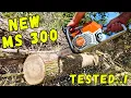 I Tested the New STIHL MS300 - Is It Worth It