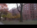 Free internet cable TV for NYCHA residents as NYC launches program