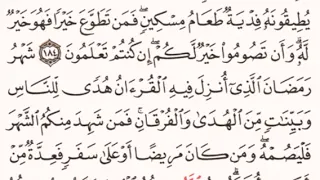 الصفحة رقم 28 الشيخ مشاري العفاسي 