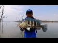 Download Lagu Serra da Mesa impressionante #pescaria #fishing #pescaria serra da mesa