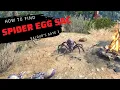 How to find Spider egg sac in Baldur s Gate 3
