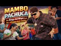 MAMBO PACHUCA KINGS DEL WEPA FT LOS SABROSOS DE LA CUMBIA