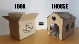 transform a simple box into a cat house