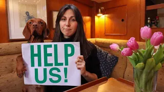 We Need Help! – (Reverse Q&A)