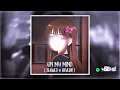 On My Mind - Fat Papi (TikTok Remix)