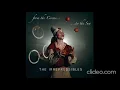 Download Lagu The Irrepressibles In this shirt 1 hour 1 hora