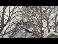 AEP Ohio shares list of cities waiting for power to be fully restored