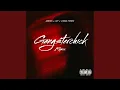 Download Lagu Gangsterchick (Remix)