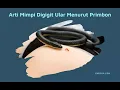 Download Lagu Arti Mimpi Digigit Ular Menurut Primbon Jawa