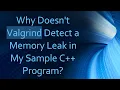 Why Doesn t Valgrind Detect a Memory Leak in My Sample C Program
