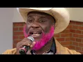 Americana artist Pynk Beard's lyrics and sound will stop you in your tracks