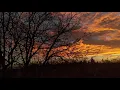 Rest for Mind | Beautiful Chill Mix