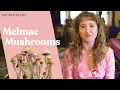 Melmac Mushrooms What Are They DoubleBlind