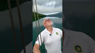 Stay Curious. It Never Gets Old!