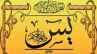 محمدحسين عامر سورة يس HD قرأن رمضان 