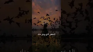 الشخص الذي يزعل منك  علمتني الحياة دندنها