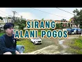 Lagu Sirang Alani Pogos | Lagu Batak Sedih Tentang Berpisah Karena | Ciptaan Robert Sianipar