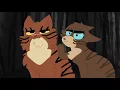 Ivypool Lies